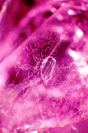 Negative crystal & two-phase veil
